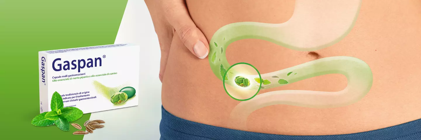 Gaspan banner